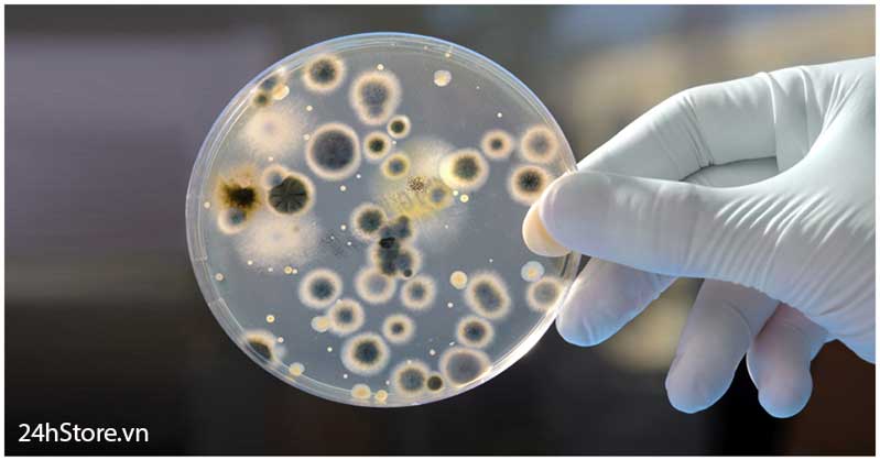 Tác hại của điện thoại