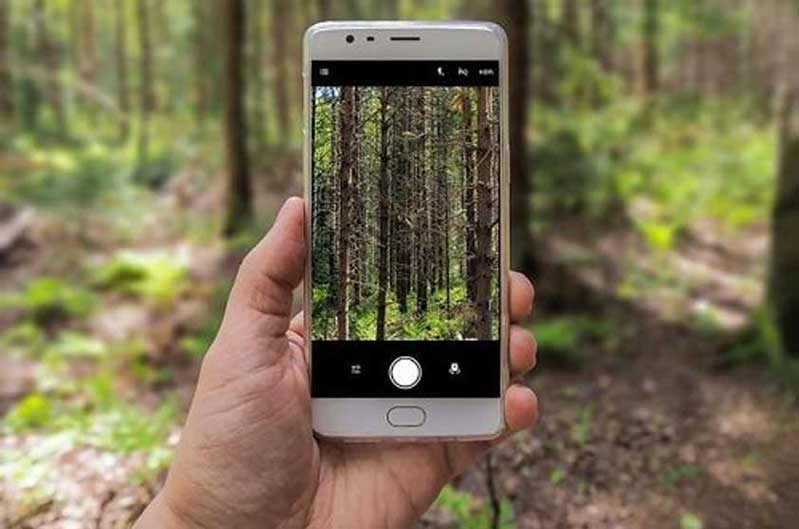 Hướng dẫn kích hoạt tính năng ẩn trên điện thoại Android nhanh nhất huong dan kich hoat tinh nang an tren dien thoai android