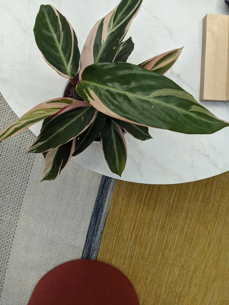 16 bức ảnh chụp bởi Google Pixel 4 hình 12 16 bức ảnh chụp bởi Google Pixel 4