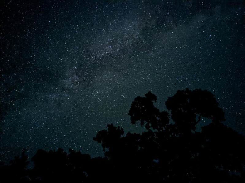 16 bức ảnh chụp bởi Google Pixel 4 hình 13 16 bức ảnh chụp bởi Google Pixel 4