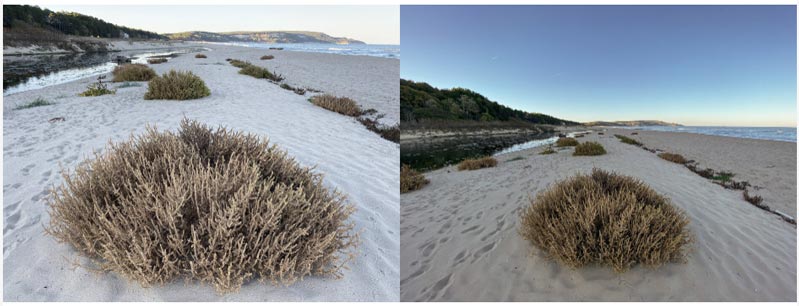 cach chup anh goc cuc rong tren iphone 11 pro dep an tuong 4