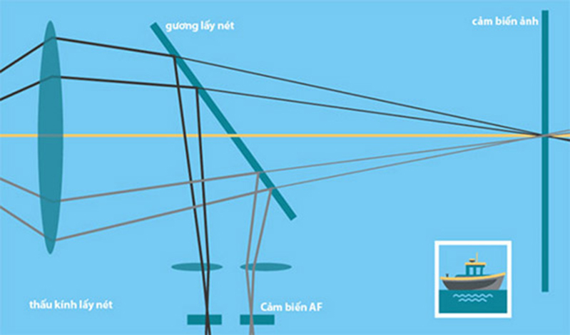 Cơ chế hoạt động