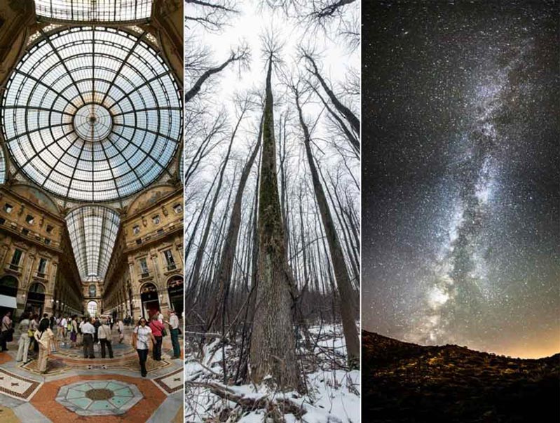 Panorama chiều dọc của khung hình