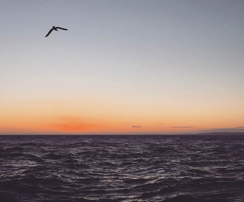 chụp ảnh đẹp bằng iphone 8