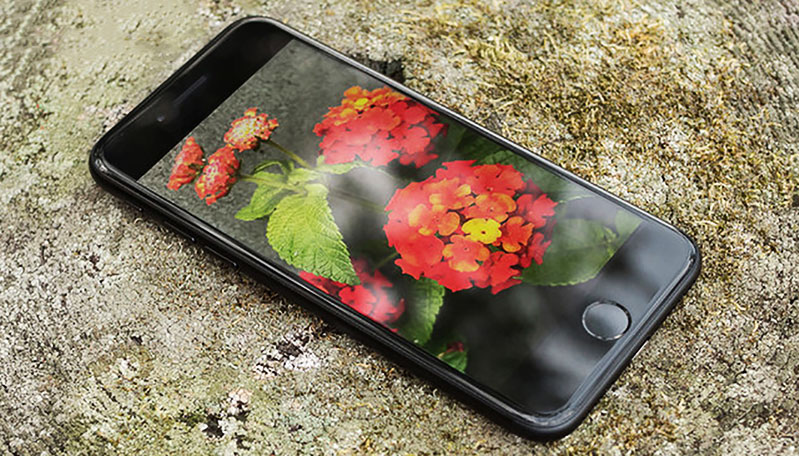 Màn hình hiển thị cao cấp