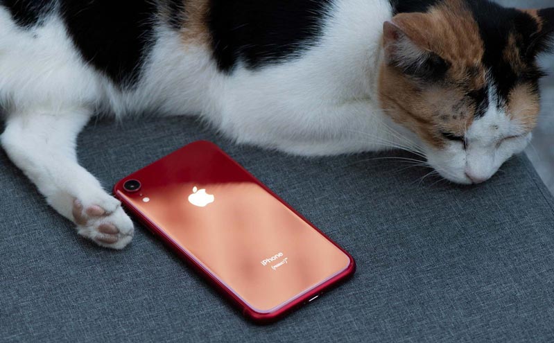 Apple ngừng kế hoạch tăng sản lượng iPhone XR