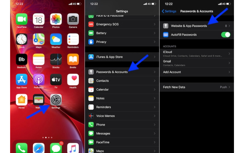 Vào Setting và chọn Website & App Passwords