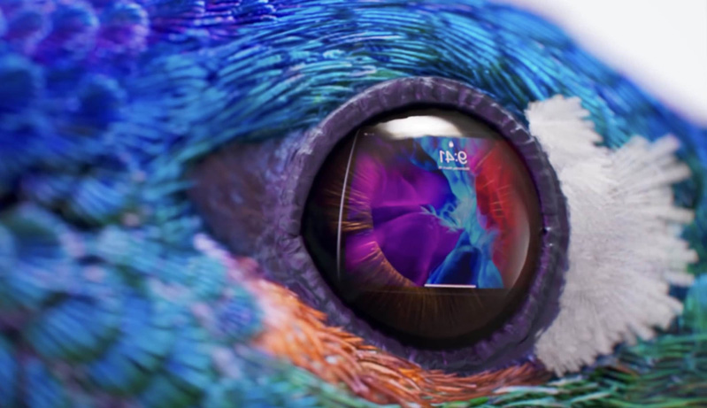 Bàn phím ma thuật iPad Bàn phím ma thuật iPad