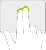 Chuột phụ Chuột phụ