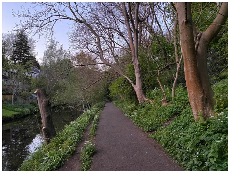 Ảnh chụp đêm với iPhone 11 Pro