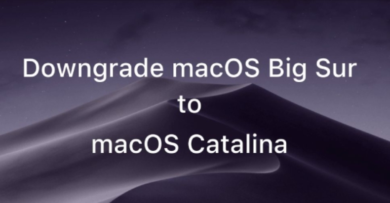 hạ cấp macos big sur beta Hạ cấp macOS Big Sur Beta xuống macOS Catalina