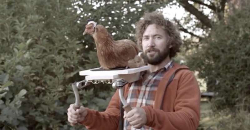 Ổn định hình ảnh quang học trên gà