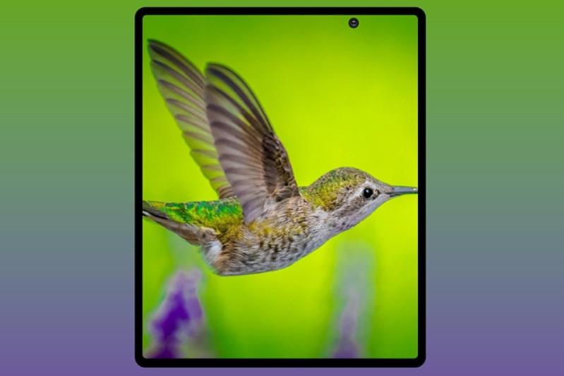 galaxy z fold 2 Fold 2 sẽ có thêm màu mới