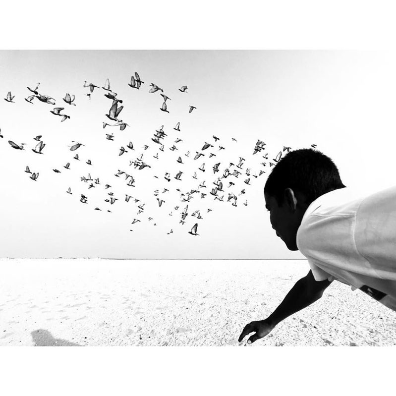 Bức ảnh chụp từ iPhone đẹp đến ngỡ ngàng