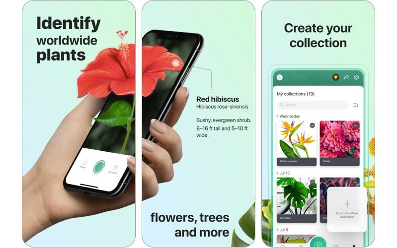 ứng dụng ai 5 ứng dụng học tập tốt cho ios