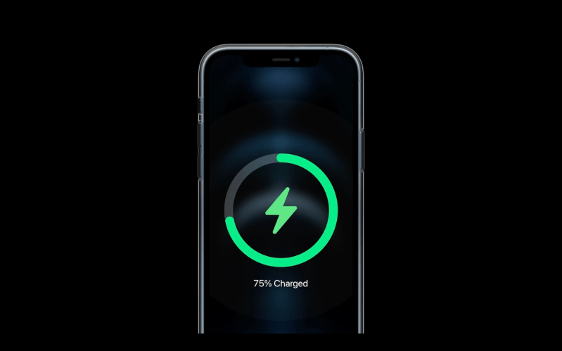 Pin iPhone 12 Pro Max hình 2 Pin iPhone 12 Pro Max có đáng thất vọng?