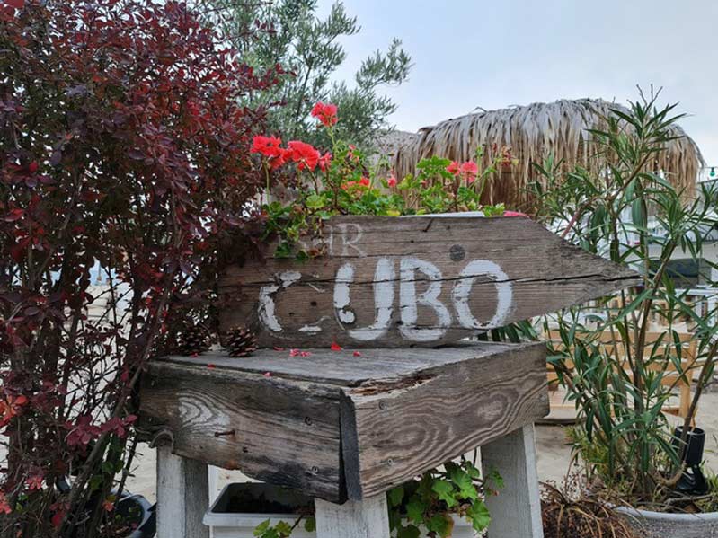 Hình ảnh chụp bằng camera chính note 20 ultra  Hình ảnh chụp bằng camera chính note 20 ultra