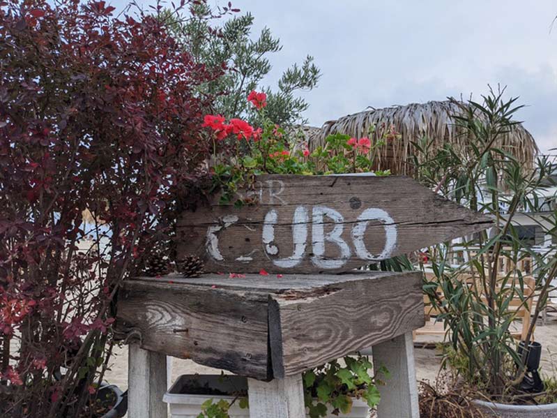 Hình ảnh chụp bằng camera chính chụp bằng pixel 5 Hình ảnh chụp bằng camera chính chụp bằng pixel 5