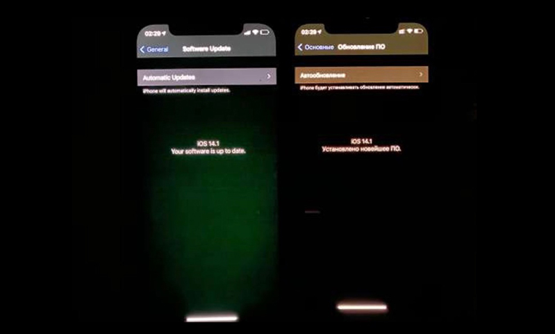 Sự cố màn hình xanh hay xám được báo cáo trên iOS 14.1 và 14.2 Sự cố màn hình xanh hay xám được báo cáo trên iOS 14.1 và 14.2