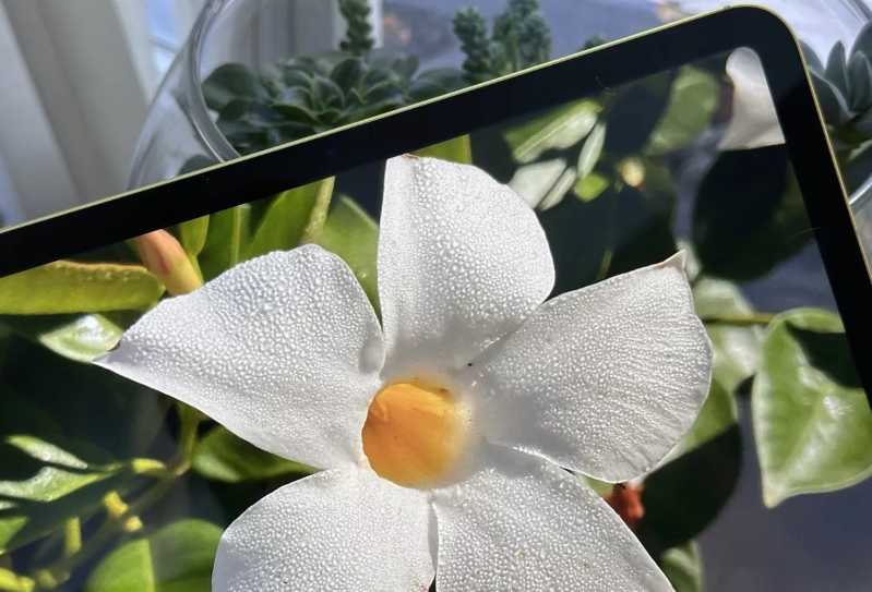 Ảnh được chụp từ ﻿ iPad 10.9 inch