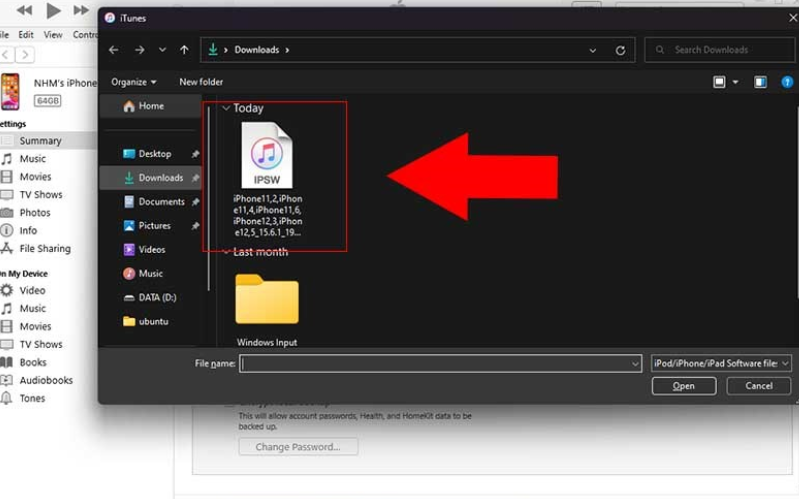 Trong phần mềm iTunes 