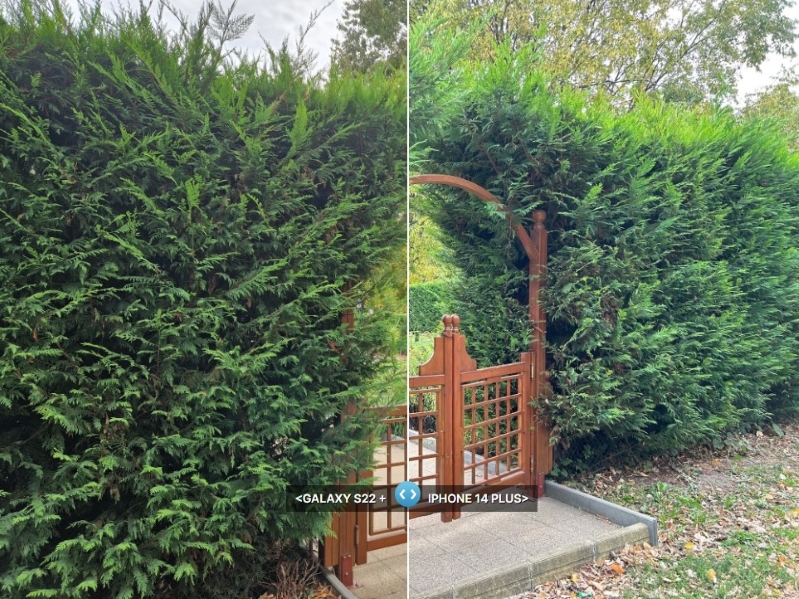 So sánh iPhone 14 Plus và Samsung Galaxy S22+ Ảnh được chụp bằng camera chính