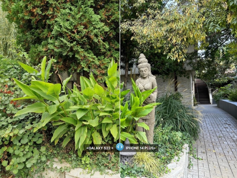 So sánh iPhone 14 Plus và Samsung Galaxy S22+ Ảnh được chụp bằng camera chính