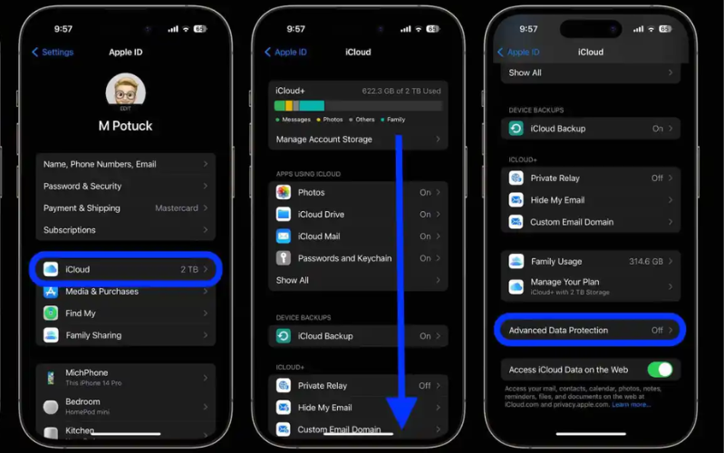 Vuốt xuống dưới cùng và nhấn Bảo vệ dữ liệu nâng cao