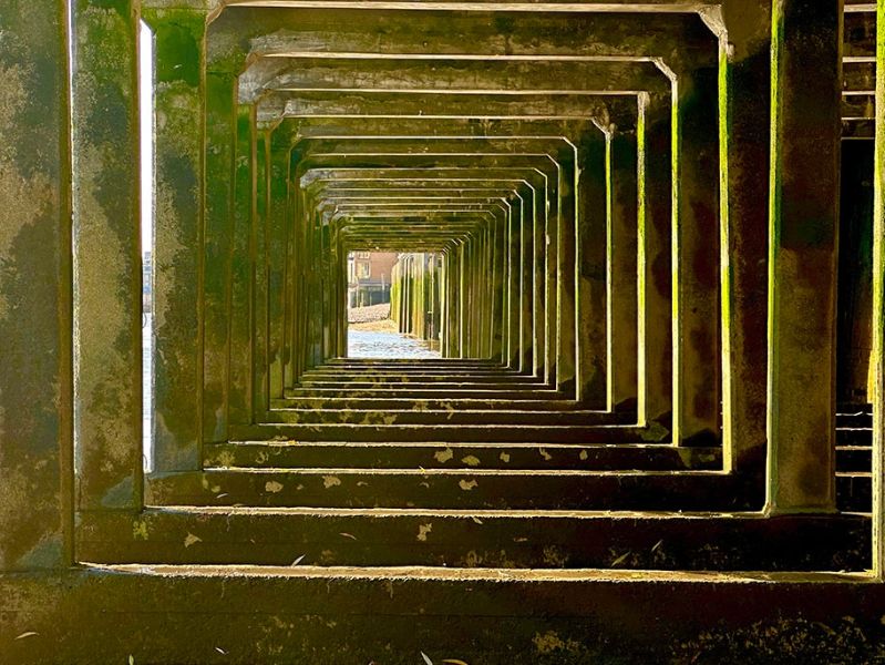 Zoom quang học 3x trên iPhone 14 Pro Ảnh chụp zoom quang học 3x trên iPhone 14 Pro