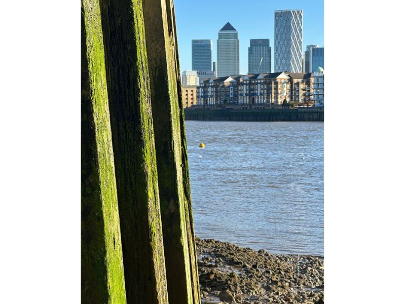 Zoom quang học 3x trên iPhone 14 Pro Ảnh qua camera zoom 3x vẫn giữ được độ sắc nét