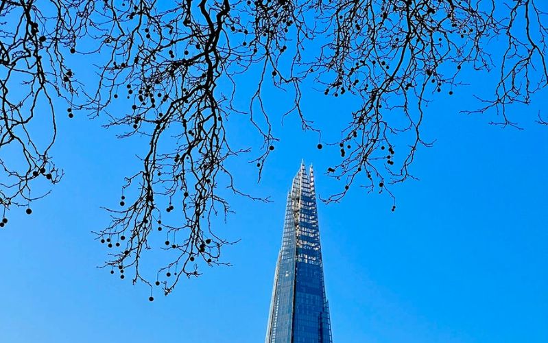 Zoom quang học 3X trên iPhone 14 Pro Zoom quang học 3x trên iPhone 14 Pro