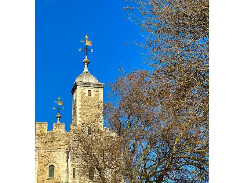 Zoom quang học 3X trên iPhone 14 Pro Zoom quang học 3x trên iPhone 14 Pro thực sự đáng trải nghiệm