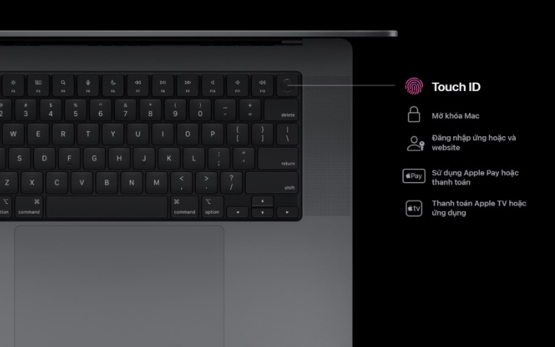 Trải nghiệm gõ phím êm ái và nhẹ nhàng vừa hạn chế tiếng ồn lại cho hiệu suất công việc cao