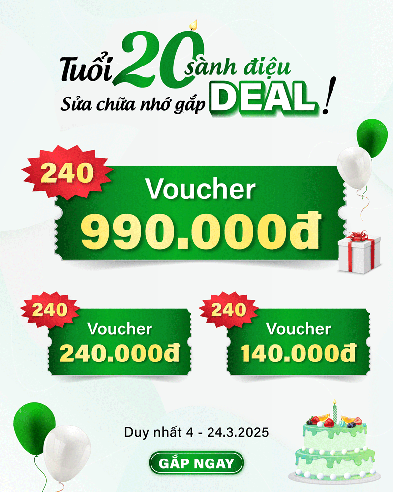 24h mừng 20 tuổi