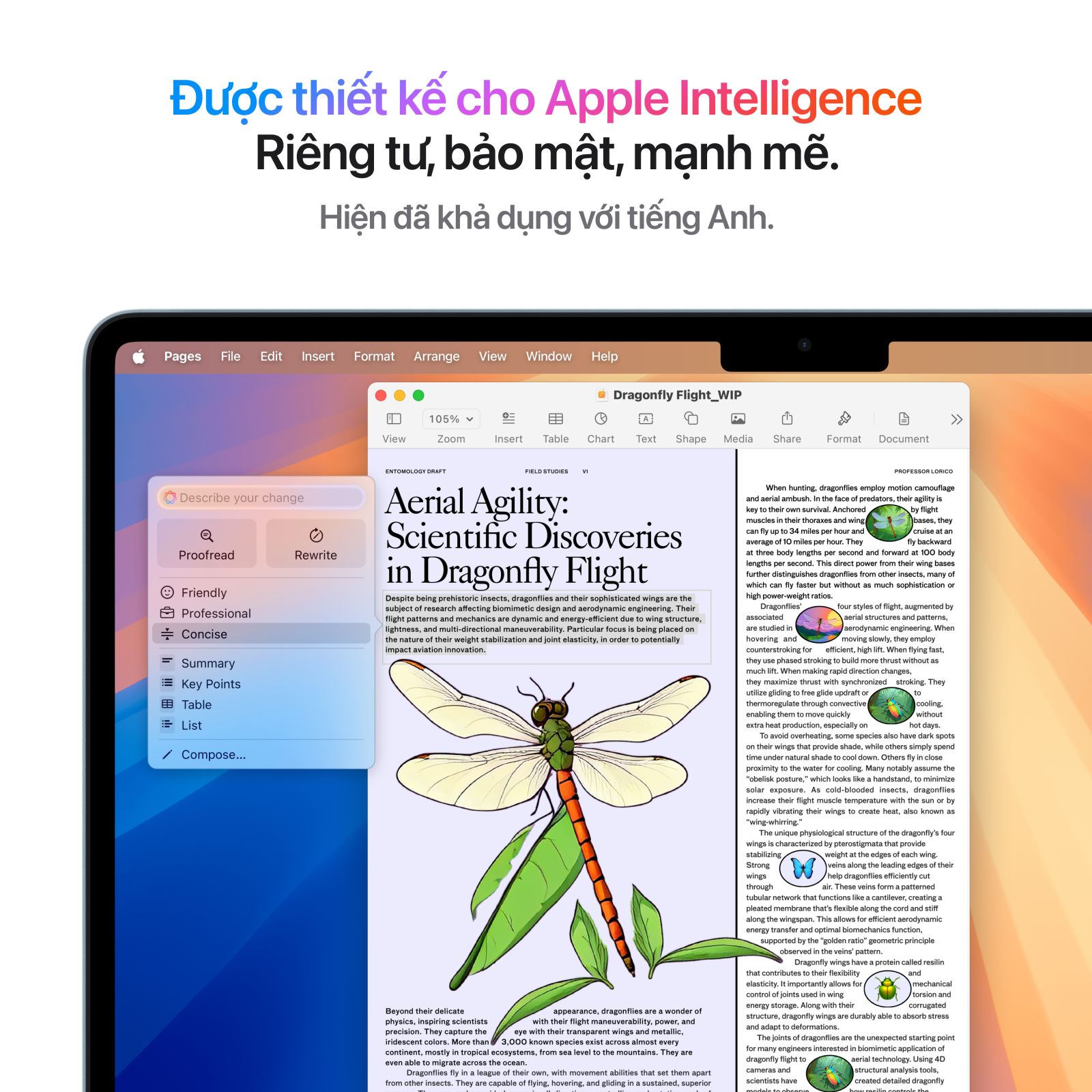 MacBook Air M4 13 inch 2025 16GB/512GB | Chính hãng Apple Việt Nam 8