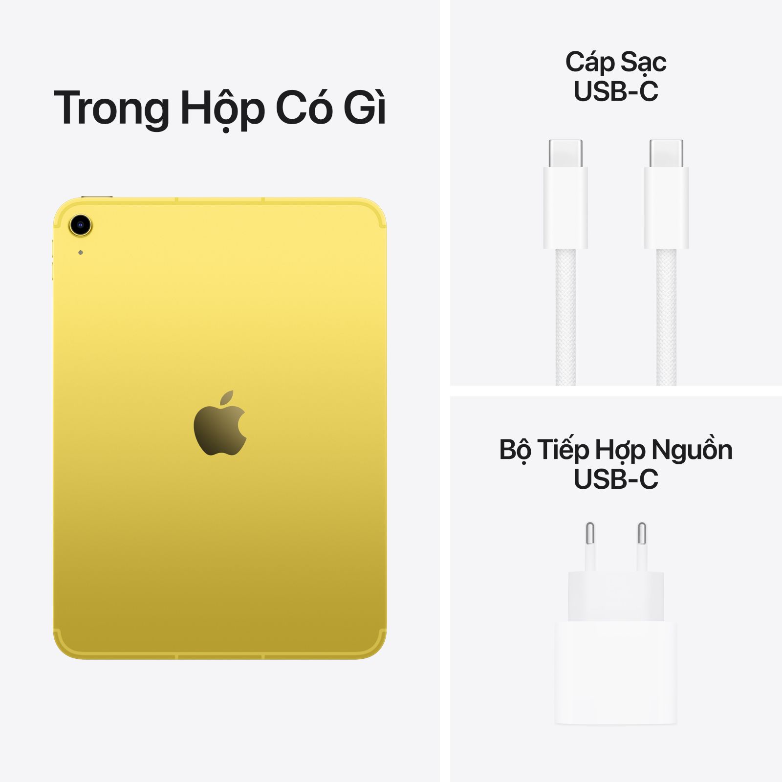 iPad 11 inch 2025 Wifi Cellular (Gen 11) 256GB | Chính hãng Apple Việt Nam 13