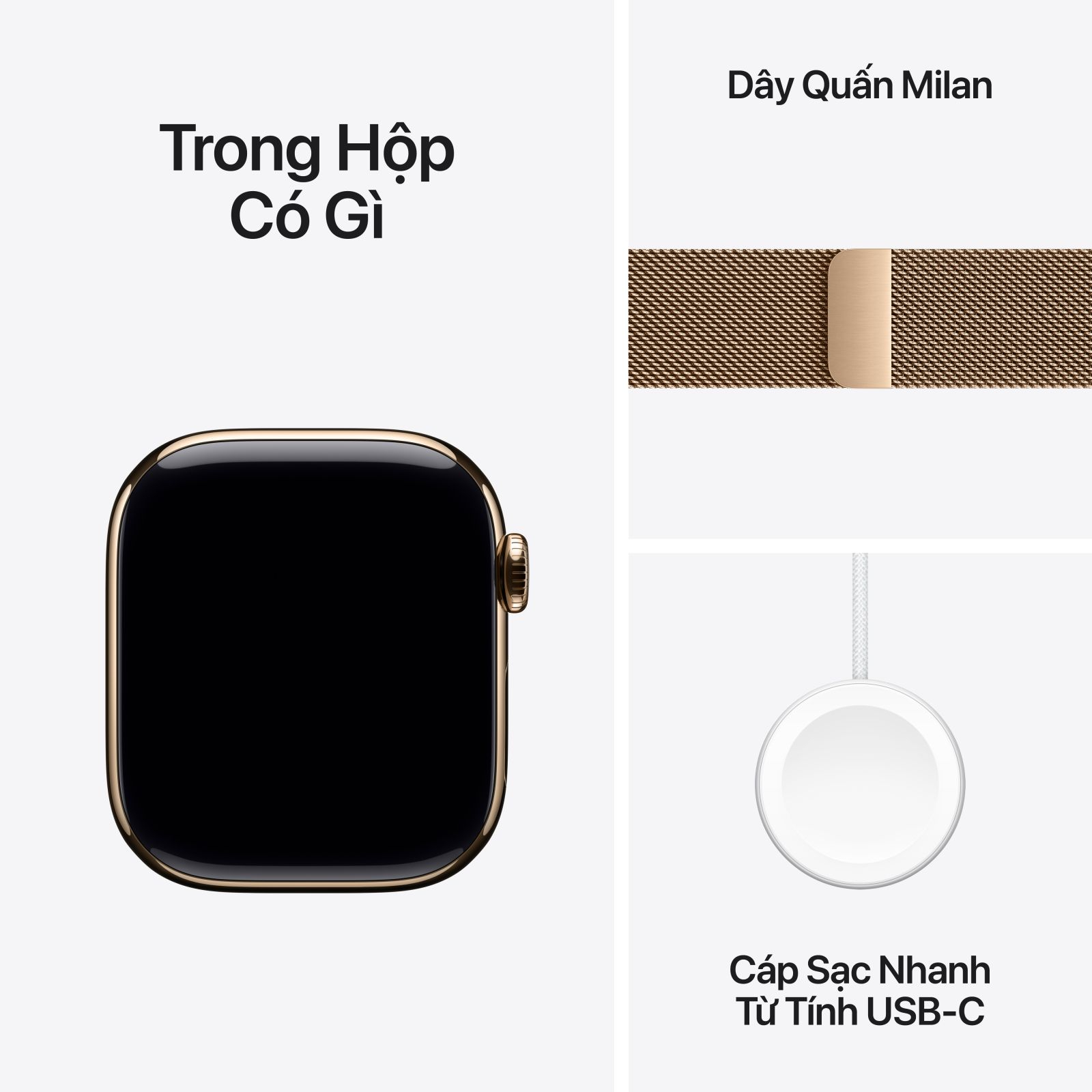 Apple Watch Series 10 46mm LTE - Viền Titan, Dây Quấn Milan Size M/L | Chính hãng VN 8 Apple Watch Series 10 46mm LTE - Viền Titan, Dây Quấn Milan Size M/L | Chính hãng VN 8