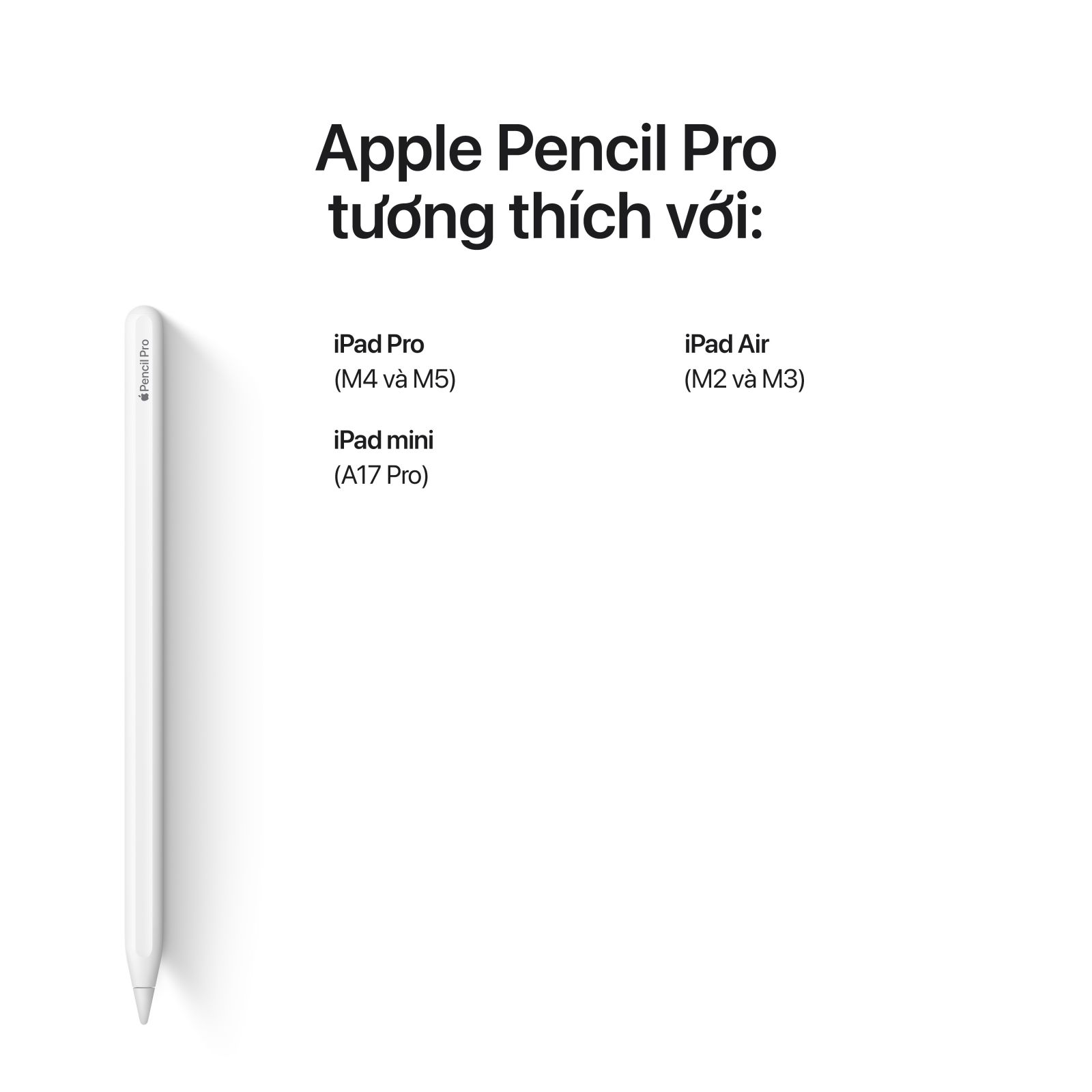 iPad Pro M5 11 inch 2025 Wifi Cellular (mặt kính Nano) 1TB iPad Pro M5 11 inch 2025 Wifi Cellular (mặt kính Nano) 1TB