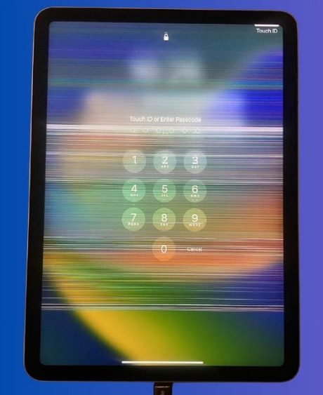 Thay màn hình iPad Pro 12.9 2020 3G (A2069, A2232)