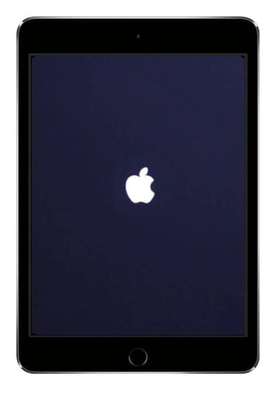 Thay pin iPad Mini 4 WiFi A1538