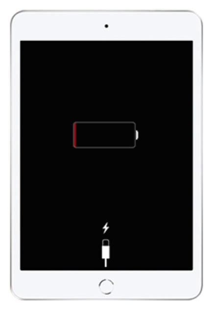 Thay pin iPad Mini 5 WiFi A2133