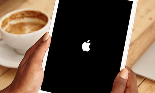 Thay pin iPad Mini 4 3G A1550