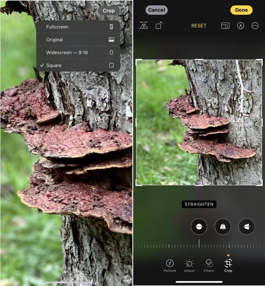 meo-chinh-sua-video-cuc-dep-tren-iphone-17-pro-max-4.jpg