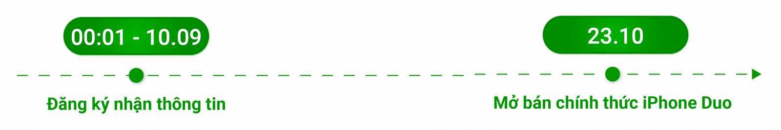 Timeline