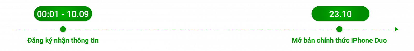 Timeline
