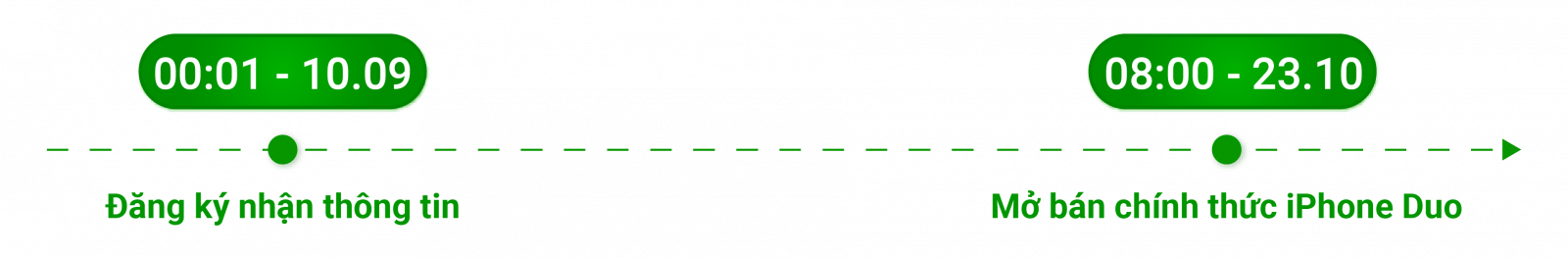 Timeline