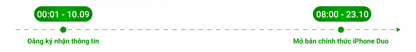 Timeline