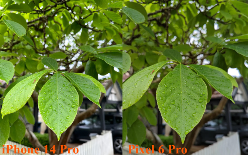 Ảnh chụp của iPhone 14 Pro và Pixel 6 Pro trong điều kiện ánh sáng bình thường 