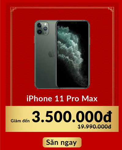 iPhone 11 Pro Max cũ