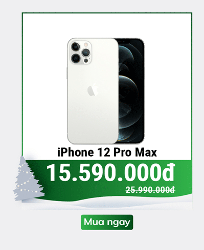 iPhone 12 Pro Max cũ